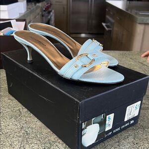 Dolce & Gabbana Sky Blue Heeled Mules